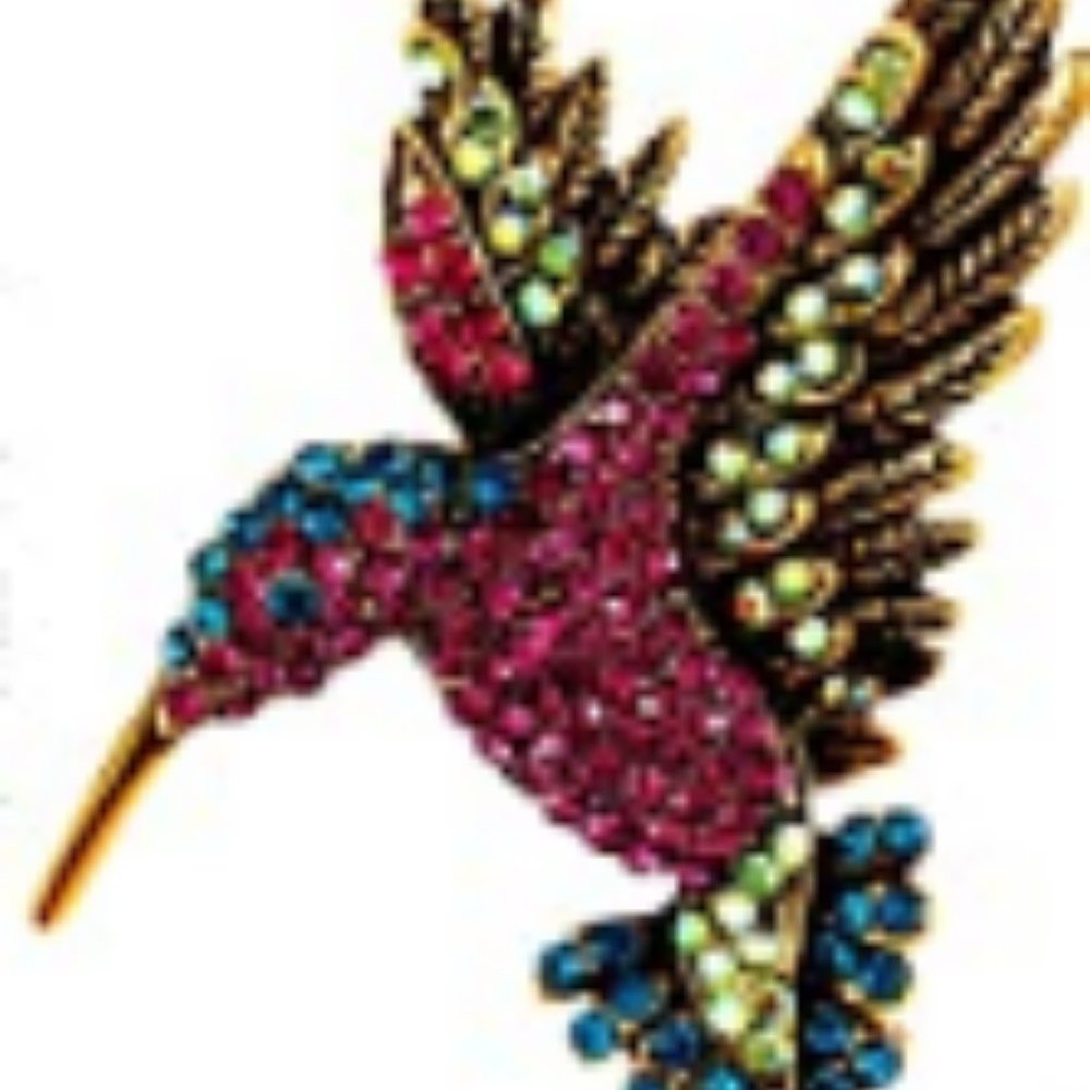✨ Humming Bird pin